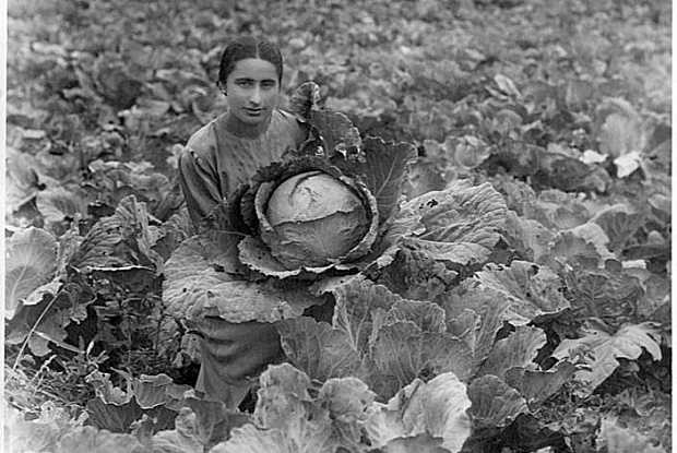 Maria Esayan (1916-1998), an agronomist in Dilijan, Armenia. (Image: courtesy of Dilijan Centralised Library System)