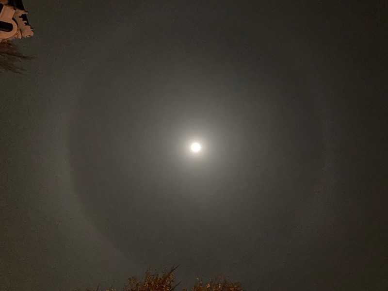Image: Blue Moon halo on 31 October 2020, Amsterdam, de Wallen. Seen at about 1am, after a ‘rose-zombie’ escaped from the Palazzo della Malinconia. Photo by René Boer.