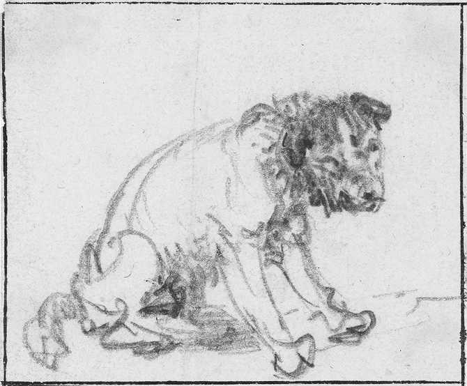 Rembrandt Harmensz van Rijn, Study Of A Sitting Dog, 1637, black chalk on paper, 82 x 99 mm  Inventory number: Z 719 Source: virtuelles-kupferstichkabinett.de, Braunschweig, Germany