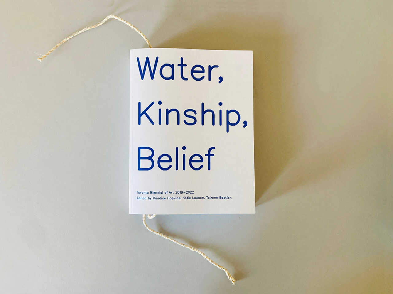 Water, Kinship, Belief ~ Toronto Biennial of Art