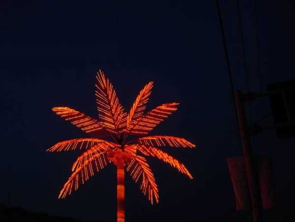 casco we correspondents electric palm tree