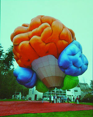 Brain-shaped hot air balloon. Hmmmm. . .