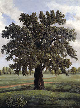 	Stephen McKenna, "An English Oak Tree," 1981.  © Stephen McKenna. Courtesy Tate.