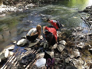May 2013: Eelation- DAI 's roaming students bring glass eels into the waters of the Bronx River