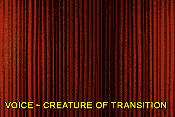 VOICE ~ CREATURE OF TRANSITION
