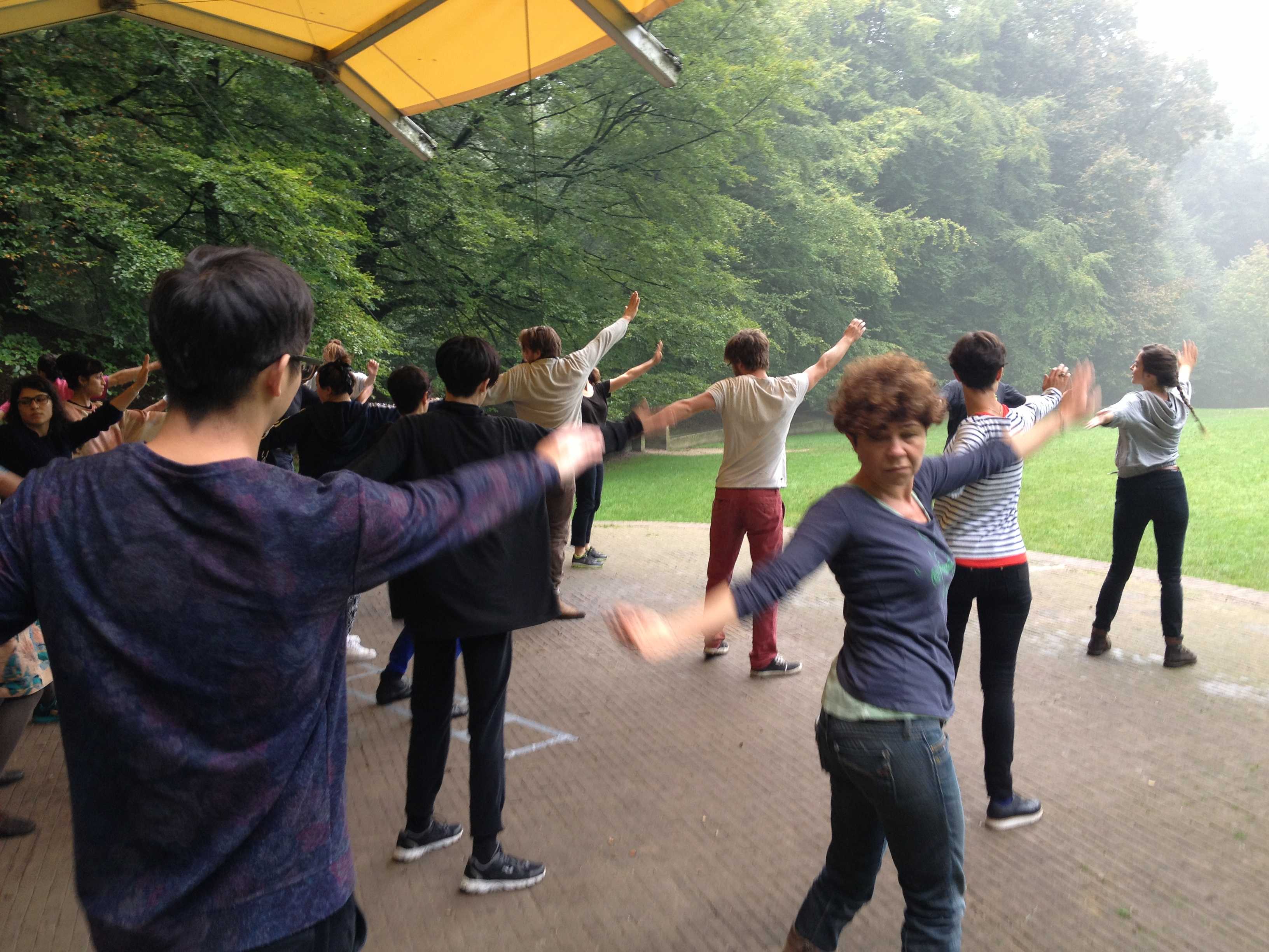 Sonsbeek Entr'acte during DAI's introduction week 2014: Tai-chi session in the Sonsbeek park 