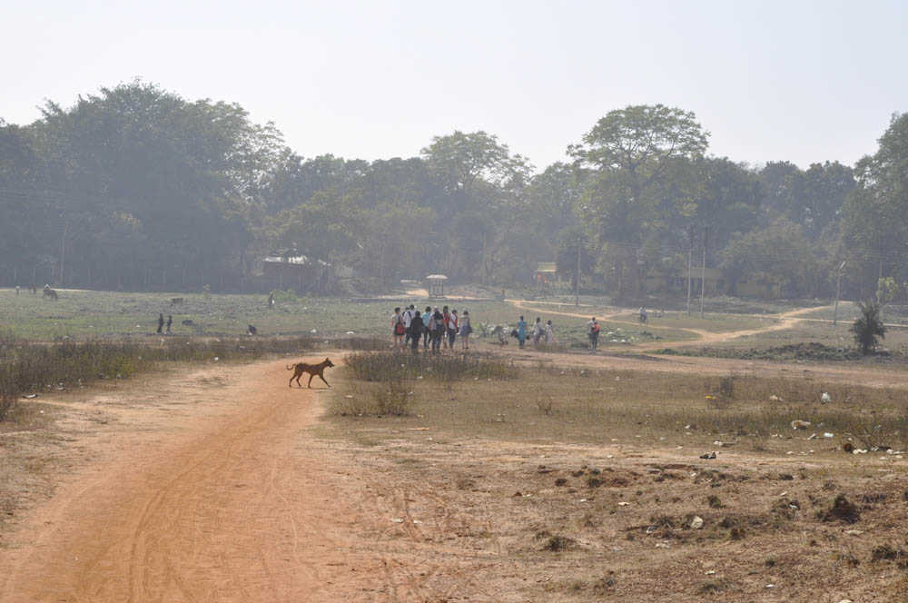 2014: DAI-students on a walk during their work period in Santiniketan, India.