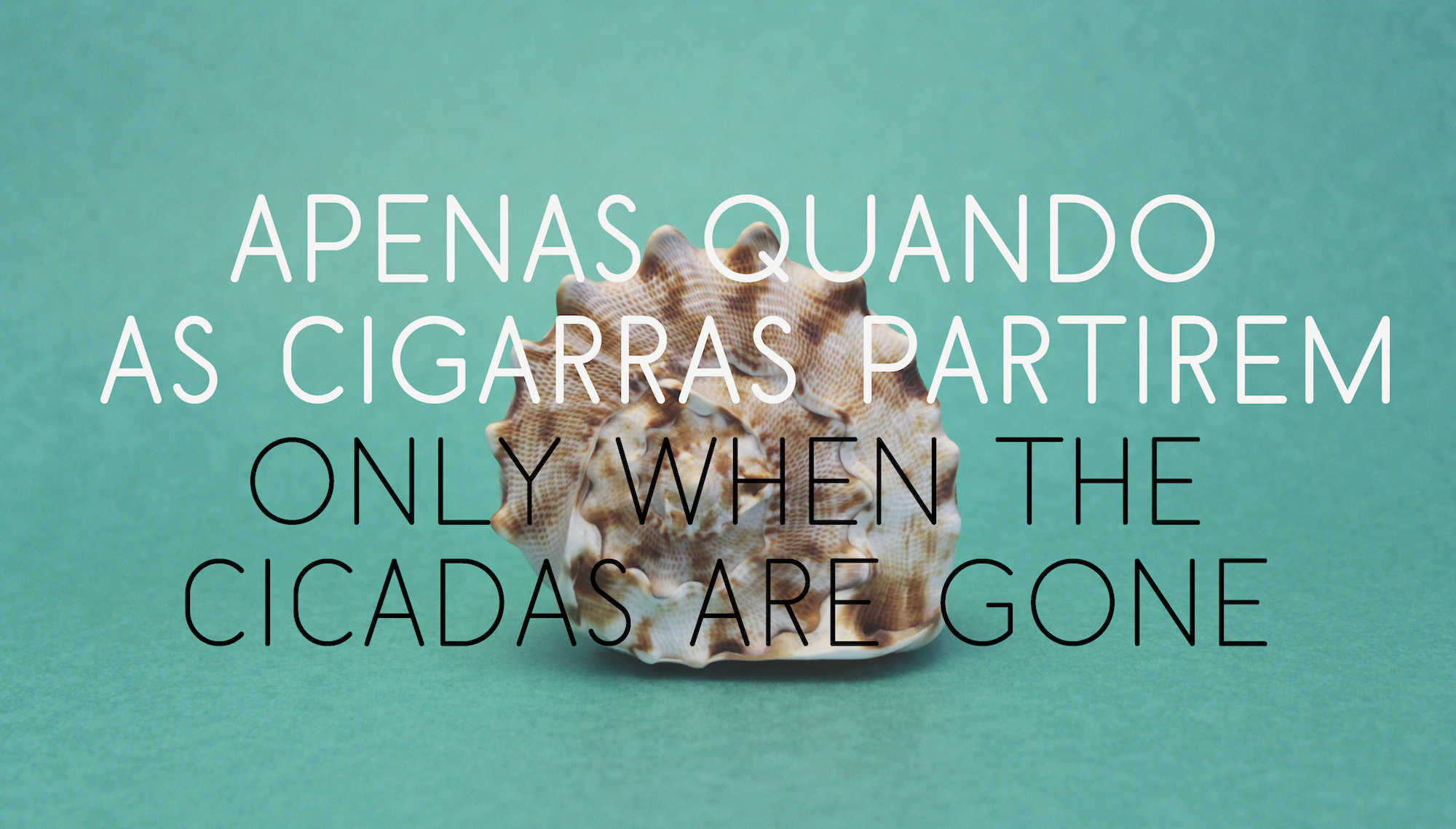 Only when the cicadas_Patrícia Pinheiro de Sousa