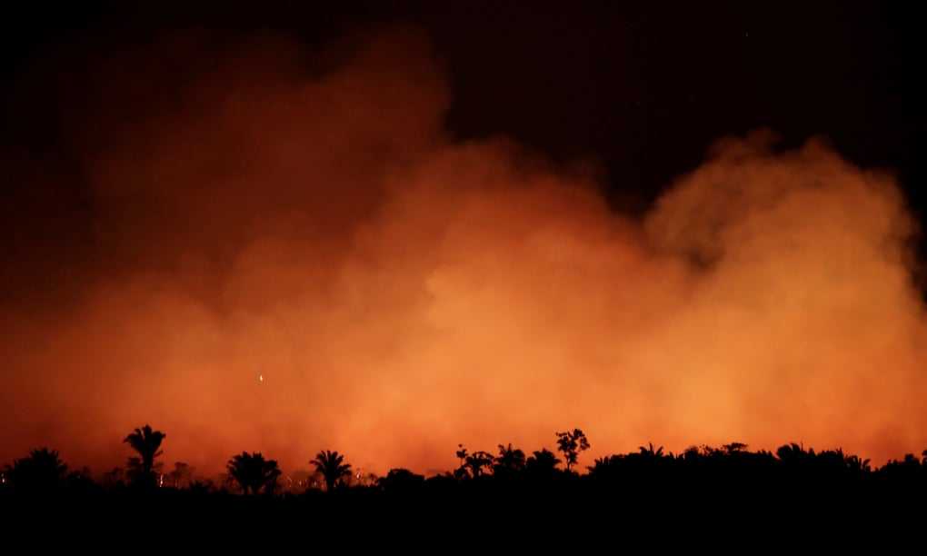 A fire in the Amazon rainforest near Humaita: ‘This month, fires are incinerating the Amazon at a record rate, almost certainly part of a scorched-earth strategy to clear territory.’ Photograph: Ueslei Marcelino/Reuters