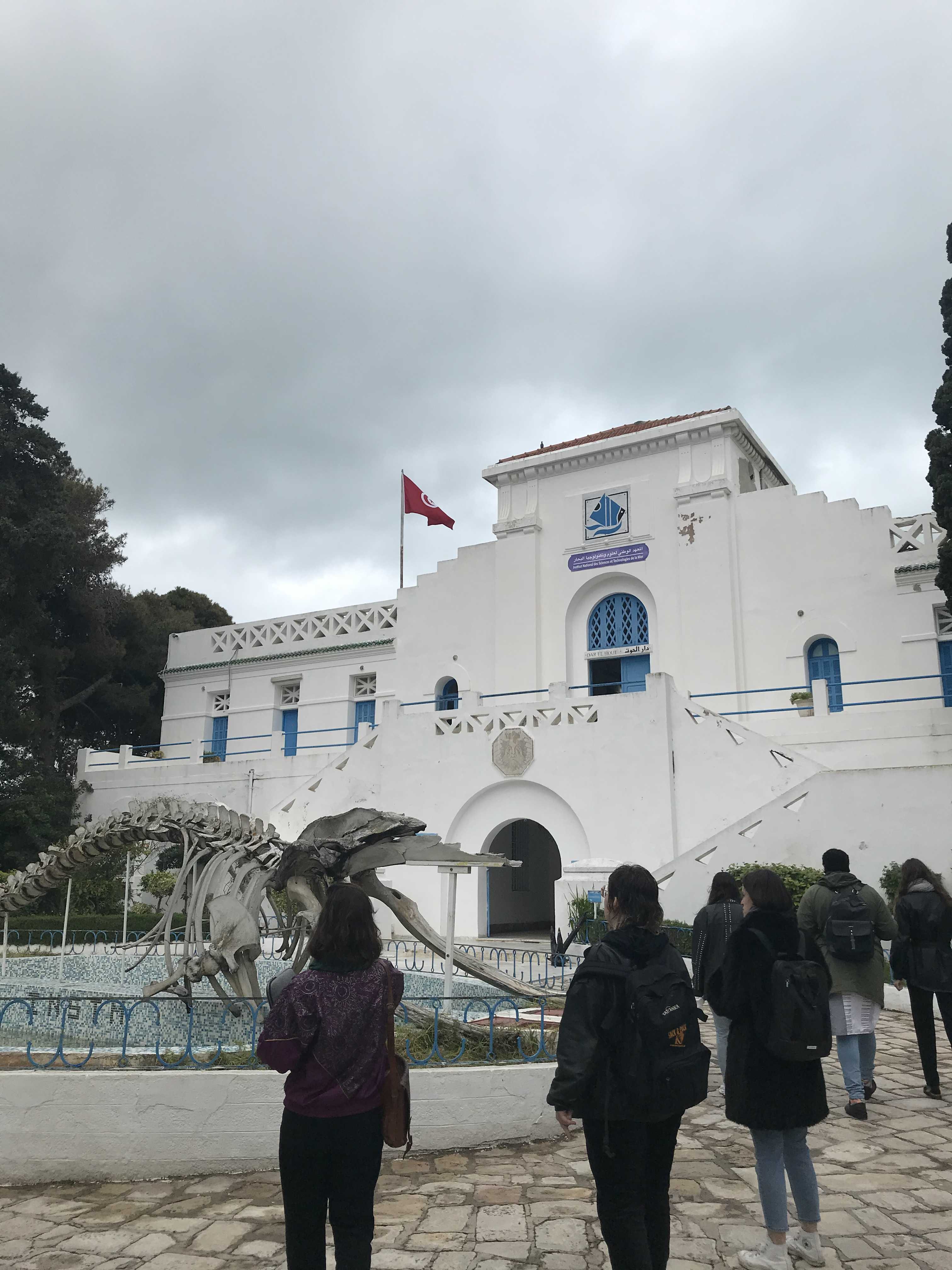 Field trip to the Oceanographic Museum in Carthage to do a site visit for an upcoming project by Aziza Harmel. Credit Mia van den Bos