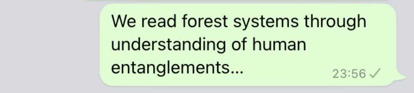We read forest systems through understanding of human entanglements...