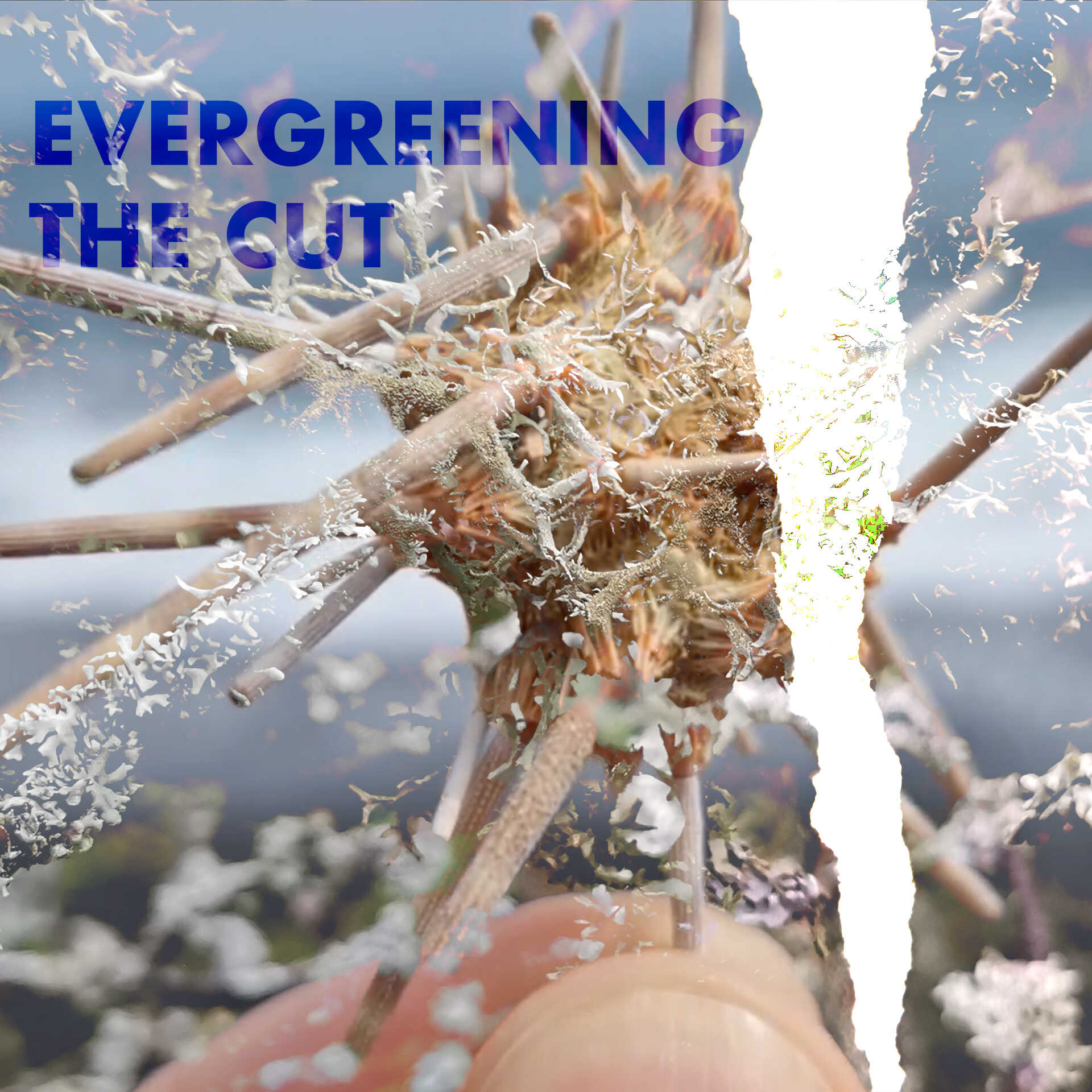 Evergreening the Cut