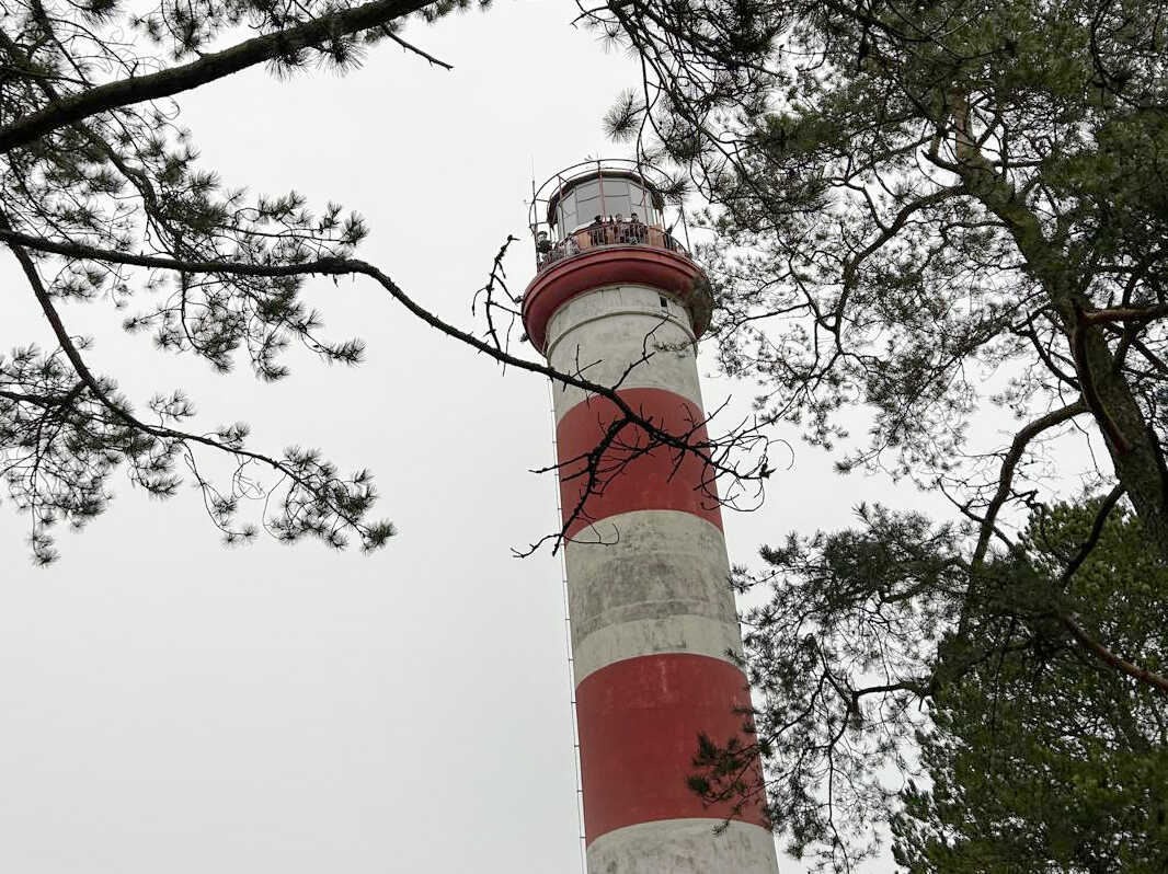 COOP study group ~ FOREST INSCRIPTIONS participants on top of the Neringa Light House. Nida, December 2024. Photo credit: Jacq van der Spek.