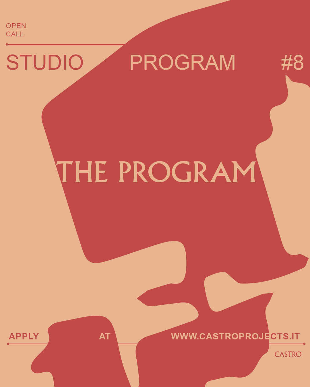 the CASTRO Studio Program Turn #8
