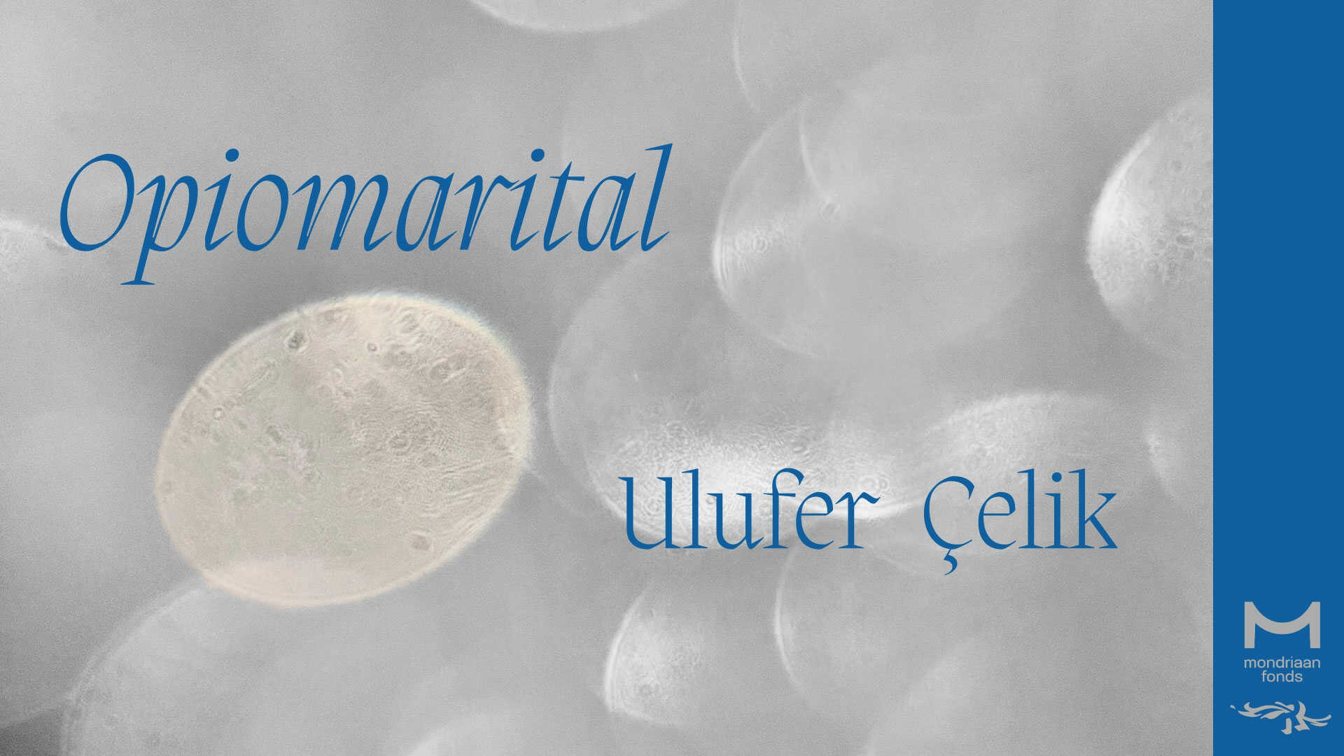 Ulufer Çelik : 'Opiomarital' ~ exhibition at 'another world' in Rotterdam. March, 2024. 