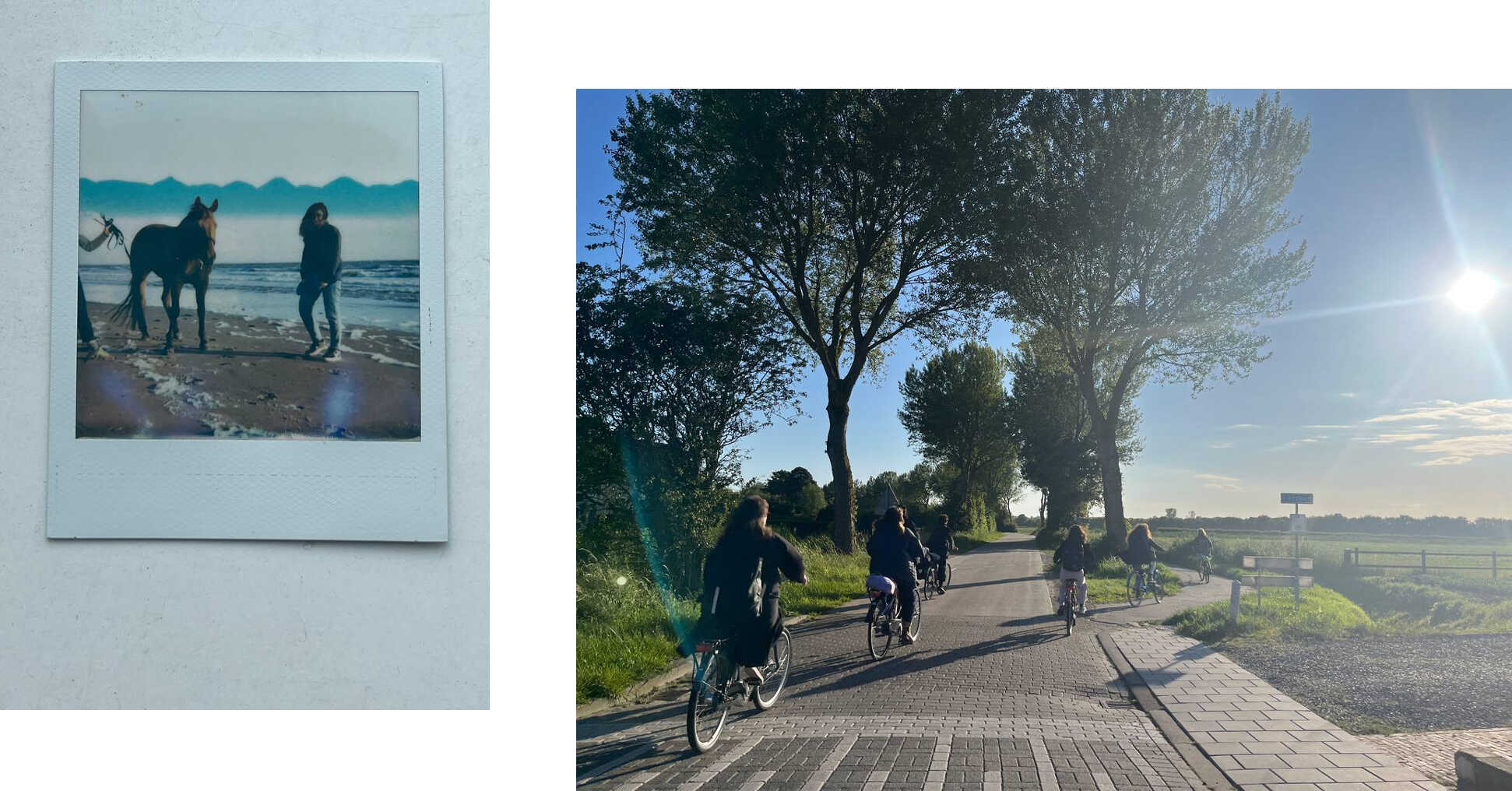 Polaroid on white surface depicting Marwa standing next to a horse that wandered over on the beach, there are some nonexistent misty mountains forming on the horizon because of a maybe chemical or lighting ‘mistake’ in the process; the COOP forming a proper bike crew, riding around in the late afternoon sunlight in between fields